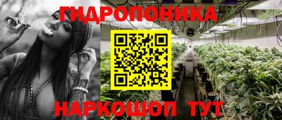 амф Дубна
