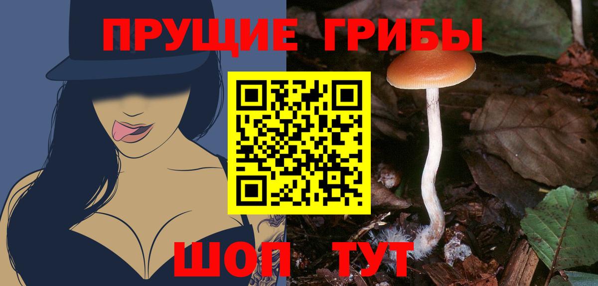 Псилоцибиновые грибы ЛСД Назарово