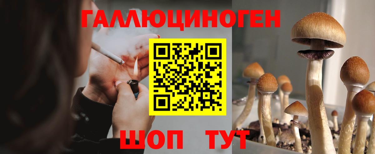 Псилоцибиновые грибы GOLDEN TEACHER  Вход с VPN  Назарово 
